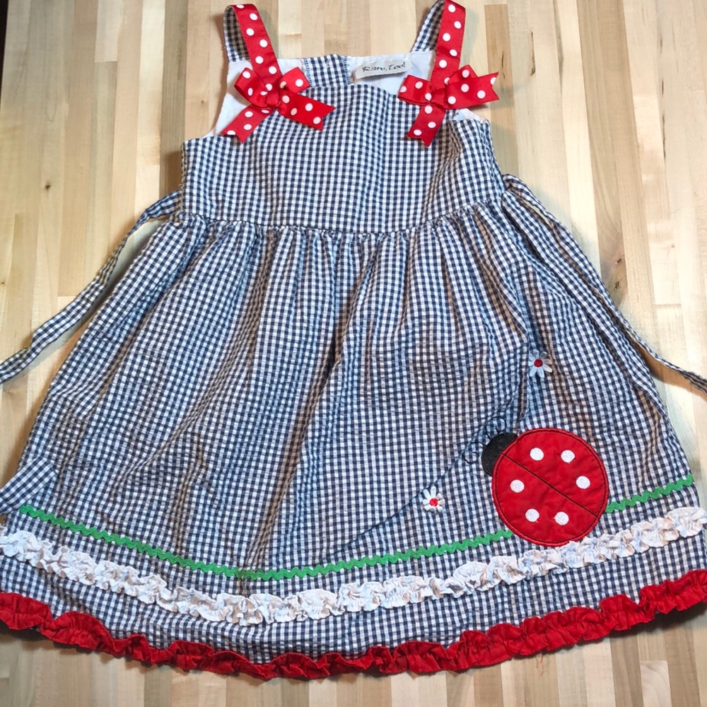 Adorable girls dress size 4T